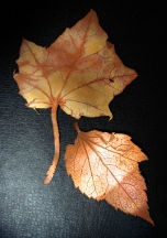 Fire-coloured copper leaves, rolled and pierced.